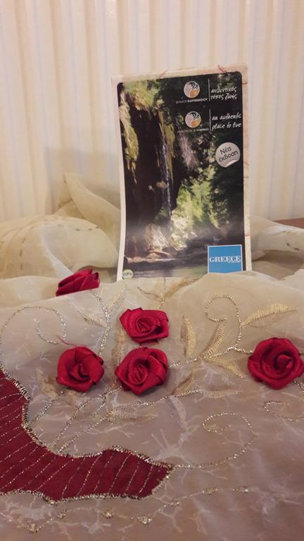 Artemis Hotel Karpenisi Ngoại thất bức ảnh