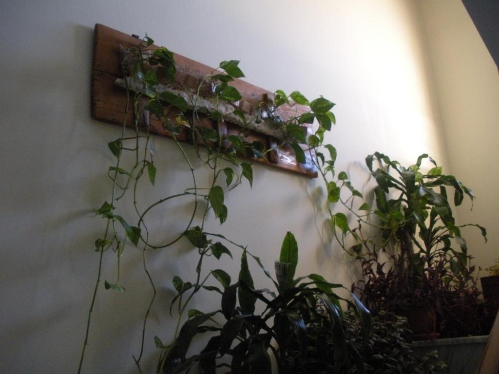 Artemis Hotel Karpenisi Ngoại thất bức ảnh